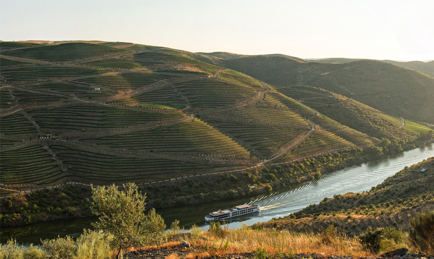 Quinta do Crasto vinice cabreira